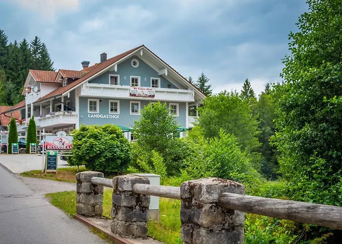 Ski-Bike-Apartment Bayerwald