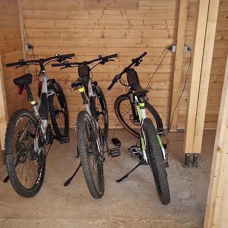 Ski-Bike-Apartment Bayerwald Lohberg Exterior photo