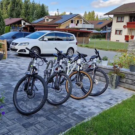 Ski-Bike-Apartment Bayerwald Lohberg Exterior photo